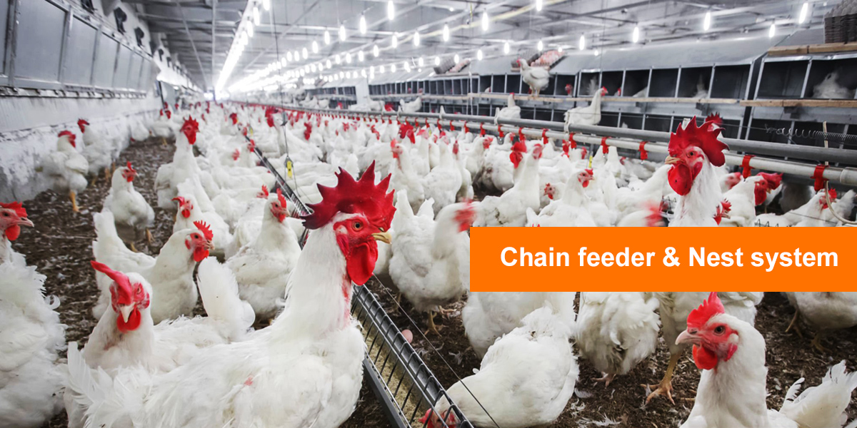 Chain feeder & Nest system